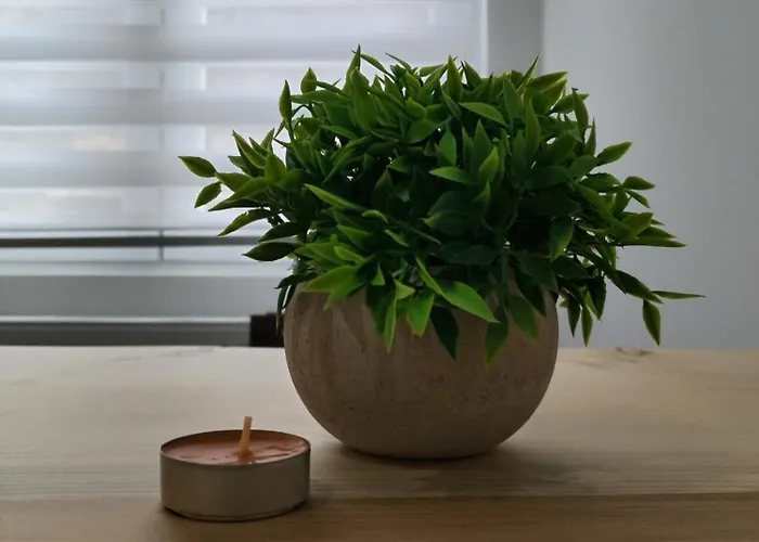 Etno Kuca Nocleg ze śniadaniem